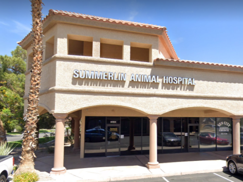 Summerlin Animal Hospital Summerlin Animal Hospital