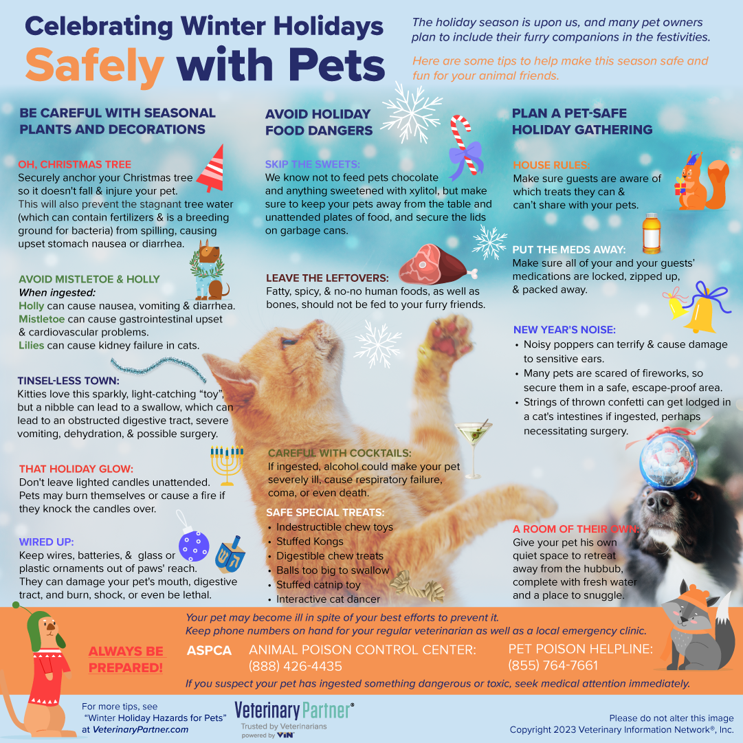 Holiday Pet Safety Tips