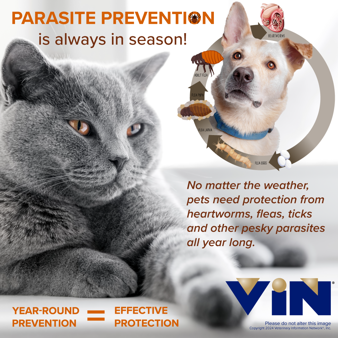 Parasite Prevention